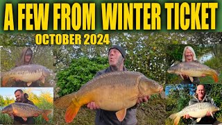 A FEW CARP FROM WINTER TICKET OCTOBER 2024  carp fishing [upl. by Paloma790]