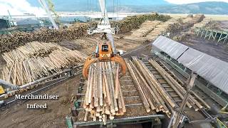 Logs to Lumber  An aerial journey through the sawmill [upl. by Anastos]