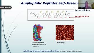 BuildaCell seminar Gonen Ashkenasy De Novo Designed Peptide Networks OutofEquilibrium [upl. by Ahsiken271]