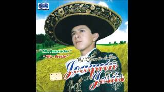 Despedida con mariachi Joaquin Jesus COVER [upl. by Brittan507]