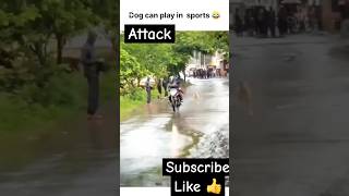 DOG AMBASSADOR 😱🙀Dog attack attitudestatus dota2 jokes sortsfeed [upl. by Janella]