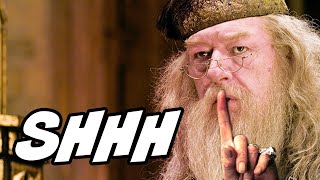 ¿Por Qué Dumbledore No Fue El Guardián del Secreto – Harry Potter Explicado [upl. by Ilarrold280]