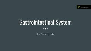 Gastrointestinal System Presentation  Allied Health 311 [upl. by Sugna]