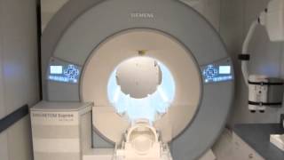 Brain MRI [upl. by Ulyram]