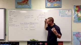 Punnet squares genotype phenotype dominant and recessive alleles [upl. by Kepner]