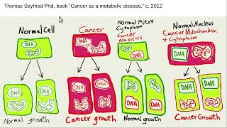 Rogers mitochondrial toxin theory of cancer [upl. by Eikcaj]