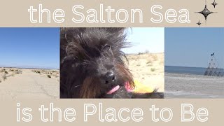 the Salton Sea is the Place to Be [upl. by Brandwein427]