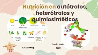 Nutrición en Autótrofos Heterótrofos y Quimiosintéticos [upl. by Ecirtra]