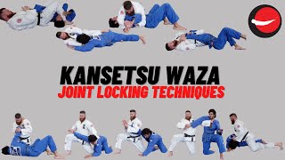 Kansetsu Waza  Joint Locking Techniques [upl. by Anjela]