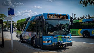 Montgomery County Transit Ride On 2021 Gillig Advantage LF30 2021D on Route 31 [upl. by Eilyak361]