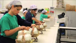 Produzione del nostro Panettone [upl. by Goldner103]