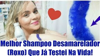 Shampoo Silver Loreal  Melhor Shampoo Desamarelador Roxo  Resenha e Como Uso Lói Cúrcio [upl. by Pineda562]