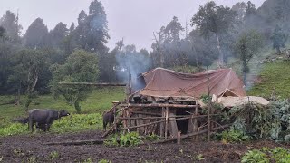 Nepali 🇳🇵Mountain Jungle Side Mushroom Hunting amp Cooking  Nepal  Primitive Rural Village [upl. by Gnet112]