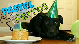 PASTEL PARA PERROS  Cumpleaños Max  SUSANA ORTIZ [upl. by Madaih132]