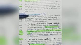 Blood Thymus Barrier  Histology [upl. by Vieva]
