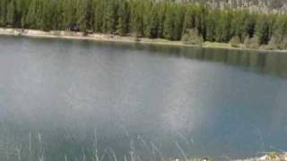 Guy Falls Off Cliff MUST WATCH [upl. by Melany]