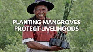 Tree Grower Story  Planting Mangroves Protecting Livelihoods in Pati  Trees4Trees [upl. by Ioyal]