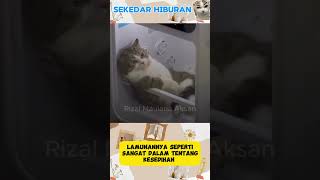 LAMUNAN GEMOY funny short shortvideo [upl. by Anallise]