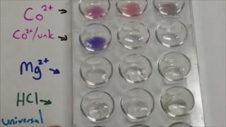 Qual Lab  Bicarbonate Carbonate Hydroxide Test [upl. by Johnstone]