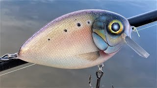 Making a Bunker Fish CrankBait Menhaden [upl. by Andrej]