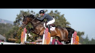 CLASS 62  25000 Arthramid Vet 140m National Welcome Prix [upl. by Karoly]