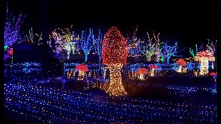 With 750000 lights Gardens Aglow returns as a walking tour [upl. by Amled855]