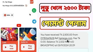 লুডু খেলে হাজার হাজার টাকা প্রতিদিন ইনকাম  hp mega payment proof  Hp Mega [upl. by Ordnael152]