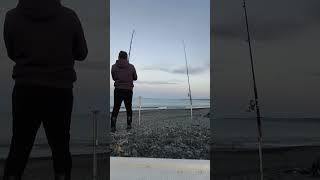 Hawkes Bay Surfcasting 2 [upl. by Kcirrem]