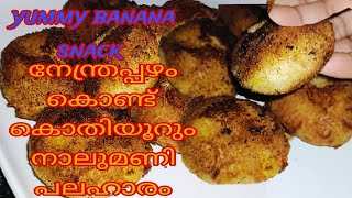 നേന്ത്രപ്പഴം കൊണ്ട് കൊതിയൂറും പലഹാരം l banana snacks in Malayalam l preethi vlog kuttu [upl. by Baumbaugh]