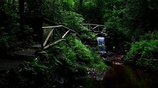 Wasserfall amp Vogelgesang im Wald Wasserfallgeräusche zum Einschlafen Lernen Relaxen amp Meditieren [upl. by Reames656]