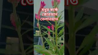 মধুর কন্ঠে কোরআন তেলাওয়াত foryou [upl. by Burgwell]