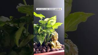 How about making a mini indoor garden for your home interiors [upl. by Calan]