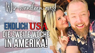 🇺🇸 ENDLICH AUSGEWANDERT 3 Power Tage amp das Haus füllt sich  USA Auswanderer Vlog 19 [upl. by Amandi]