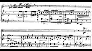 Stamitz  Viola Concerto 2nd Mov piano accompaniment [upl. by Mellitz859]