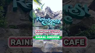 Rainforest Cafe  Animal Kingdom 🐯👀 Disney World Restaurants disney [upl. by Caleb]