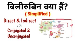 बिलीरुबिन क्या हैं Direct Bilirubin amp Indirect Bilirubin Conjugated amp Unconjugated Bilirubin [upl. by Pandich]