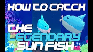 Tap Tap FishAbyssrium How To Catch The Legendary Sun Fish [upl. by Eckel]