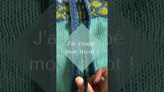 J’ai coupé mon tricot  Technique du steek pour transformer un pull en gilet [upl. by Olive]