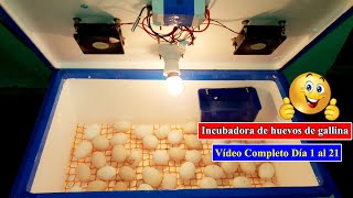 Incubadora Casera Para Huevos de Gallina  Incubadora Casera Automatica  Cómo hacer una Incubadora [upl. by Adilem]