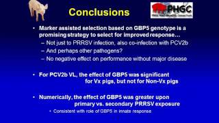 Dr Jack Dekkers  Update on the host genetics of resistance to porcine diseases [upl. by Htebirol]