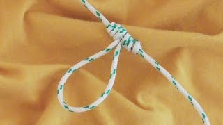 Learn How To Tie The Dropper Loop Fishing Knot  WhyKnot [upl. by Munn202]