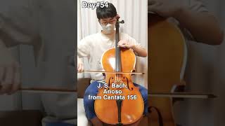 Day54 Johann Sebastian Bach Arioso from Cantata 156 shorts [upl. by Atiseret121]