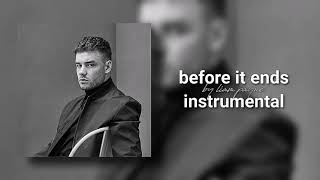 Liam Payne  Before It Ends instrumental [upl. by Ylaek80]