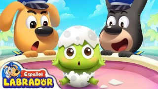 🔍Sheriff Labrador  La Aventura del Huevo 🥚  Videos para Niños  BabyBus en Español [upl. by Neiviv493]