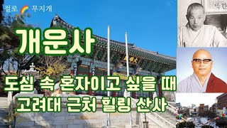 사찰 기행 개운사 도심 속 혼자이고 싶을 때 고려대 근처 힐링 절 성북구 안암산 Gaeunsa Temple in Anamsan Seongbukgu Seoul Korea [upl. by Nidroj195]