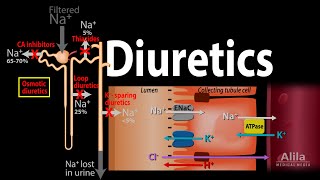 Diuretics  Mechanism of Action of Different Classes of Diuretics Animation [upl. by De Witt349]