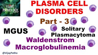 PLASMA CELL DISORDERS PART 3 MGUS Solitary Plasmacytoma amp Waldenstrom Macroglobulinemia [upl. by Aeneus]