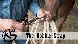 The Hobble Strap  Everyday Horsemanship with Craig Cameron [upl. by Pillihp]