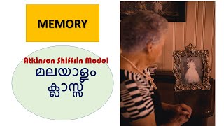 Memory Atkinson Shiffrin Model [upl. by Nicks]