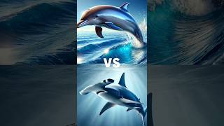 Dolphin vs Seas All Fishes  Ocra Whale Shark Octopus Killer Whale Starfish Battle [upl. by Nitsreik996]